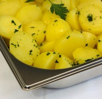 1804 Wildk.Kartoffel